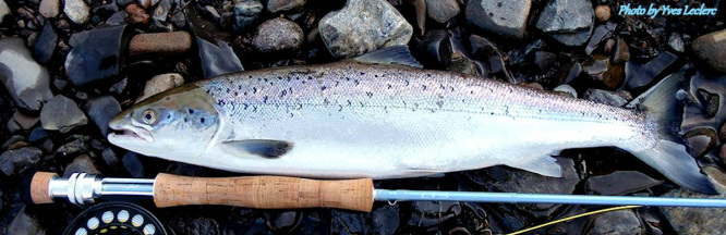 LTS Orkla wading jacket - Fishing jacket – Atlantic Salmon Fly Fishing